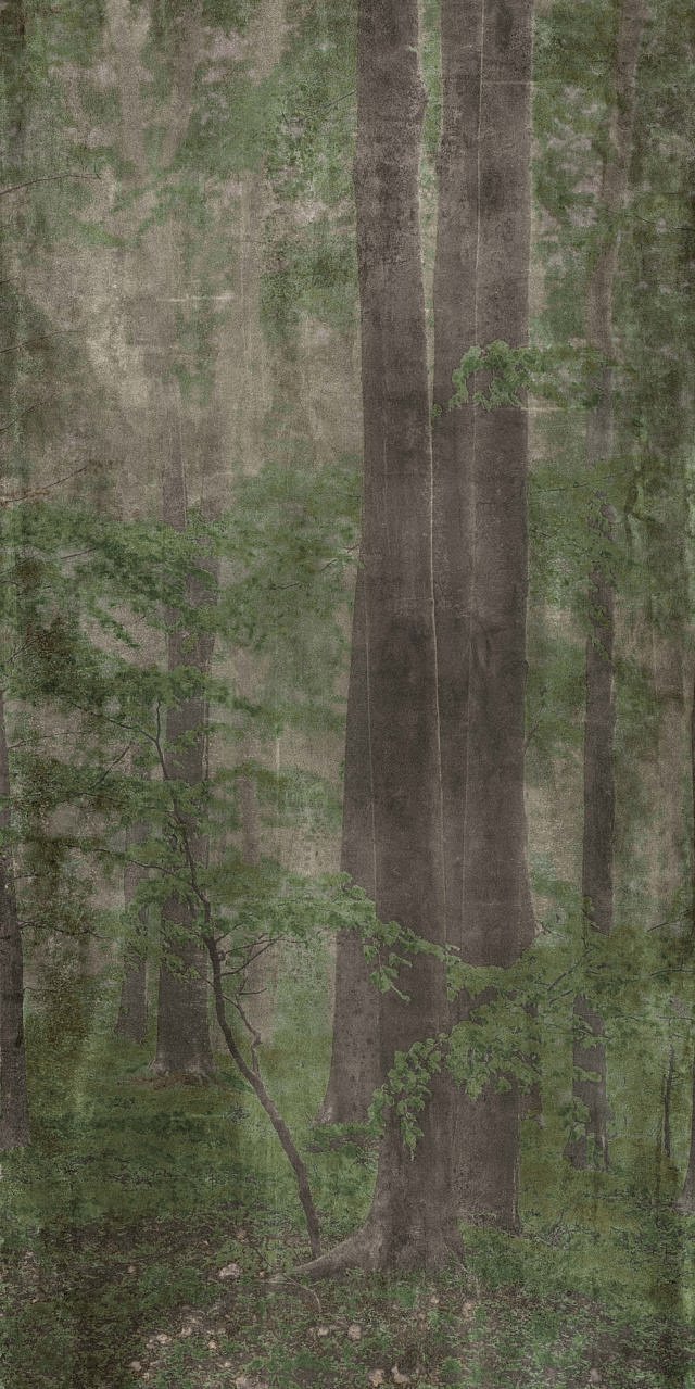 Керамогранит Плитка Wide&Style Woods C PF60009509 1200х2800х6 фото 5