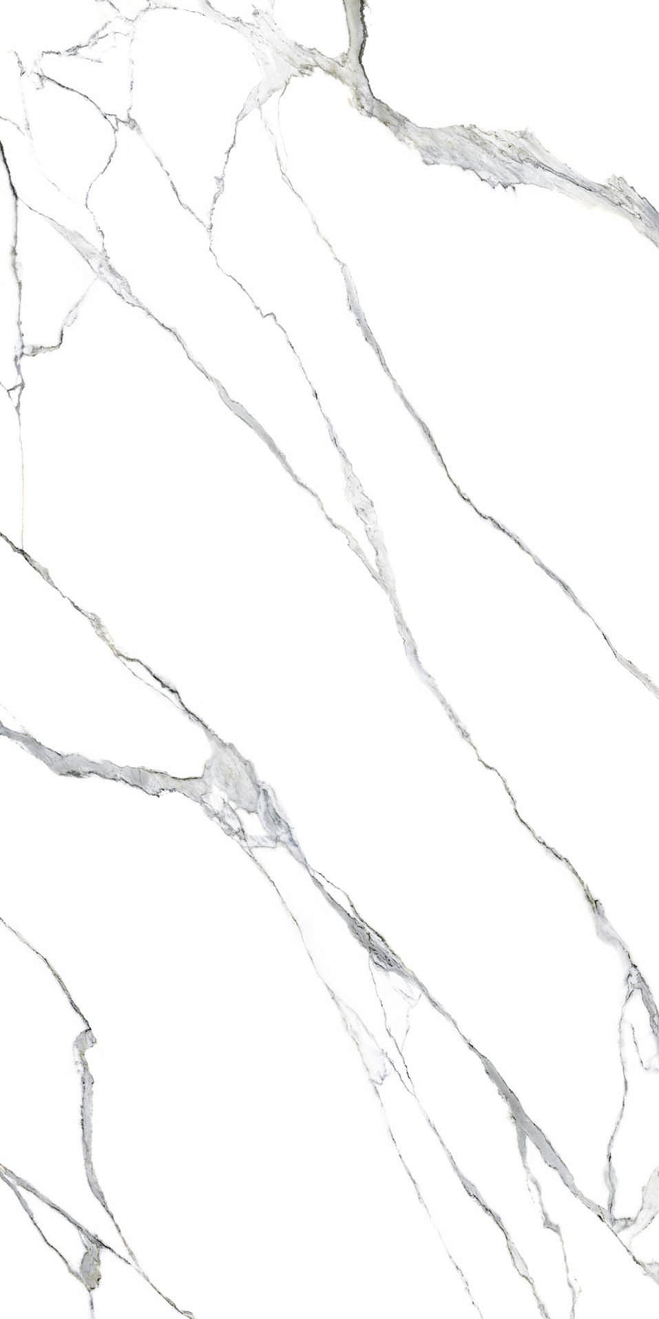 Керамогранит Плитка Ava Ceramica Marmi Statuario Splendente LAP RETT 87027 1200x2400 фото 1