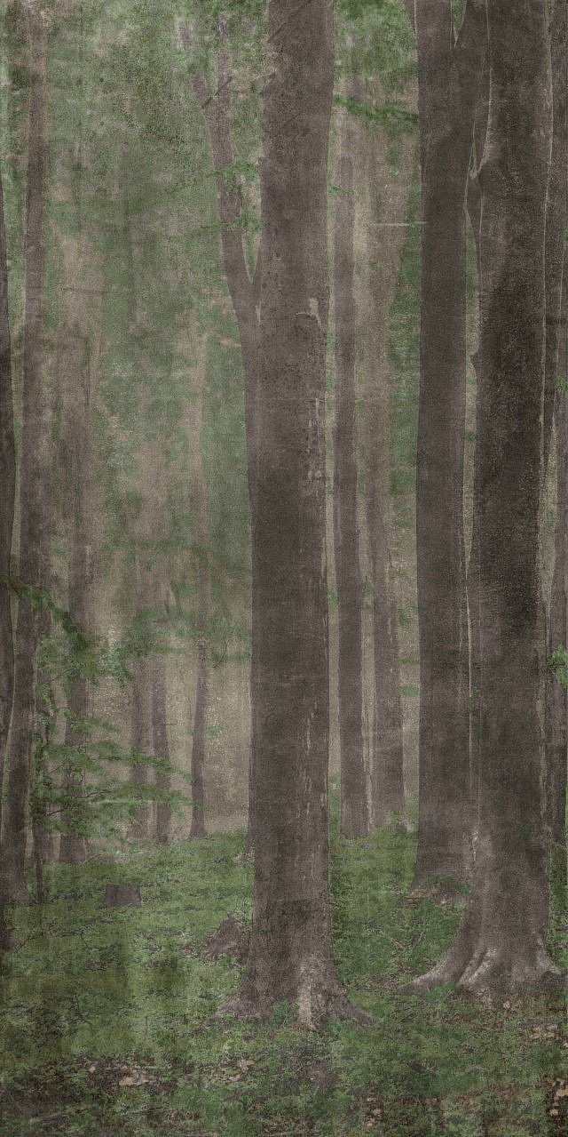 Керамогранит Плитка Wide&Style Woods A PF60009507 1200х2800х6 фото 5