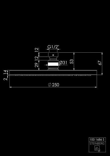 Душевая программа Steinberg 100 1686 S Верхний Душ 250 мм, Черный Мат фото 11