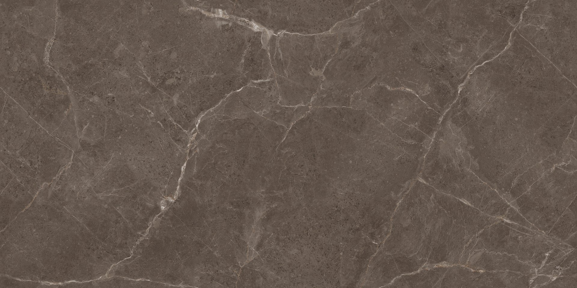 Керамогранит Плитка Stevol Elite Brown Carving 600х1200 фото 1
