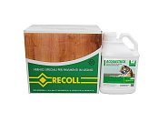 Купити будівельну хімію Шпатлівка для Паркету Recoll Acqua Stuk 5л