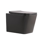 Купити Унітаз Підвісний Tern Ultra Quiet 490×365×325 мм, Anthracite, з Сидінням Slim Duroplast - Soft-Close - Quick Release QT17332303ASAN
