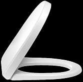 Крышка Для Унитаза Jacob Delafon Odeon Up E70011-00 фото