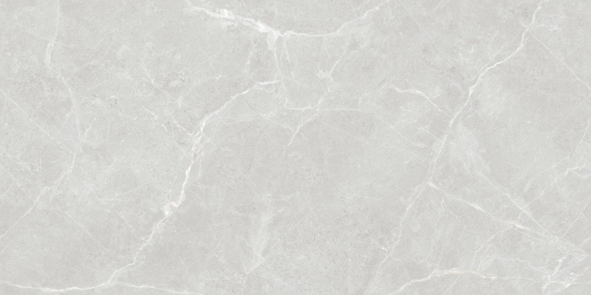 Керамогранит Плитка Stevol Elite Bianco Carving 600х1200 фото 1